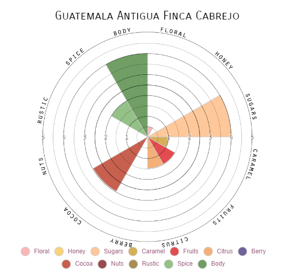 Rethuna Guatemalan Blend